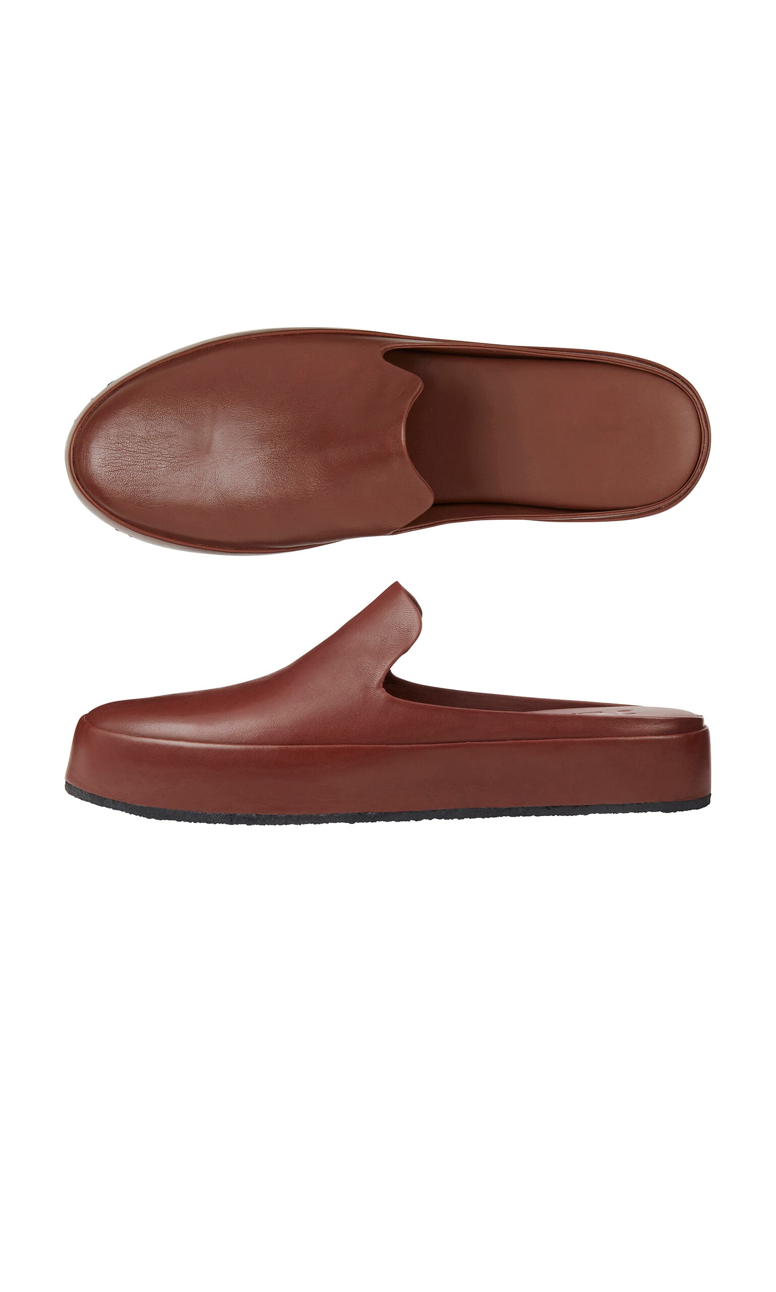 Tamworth mules