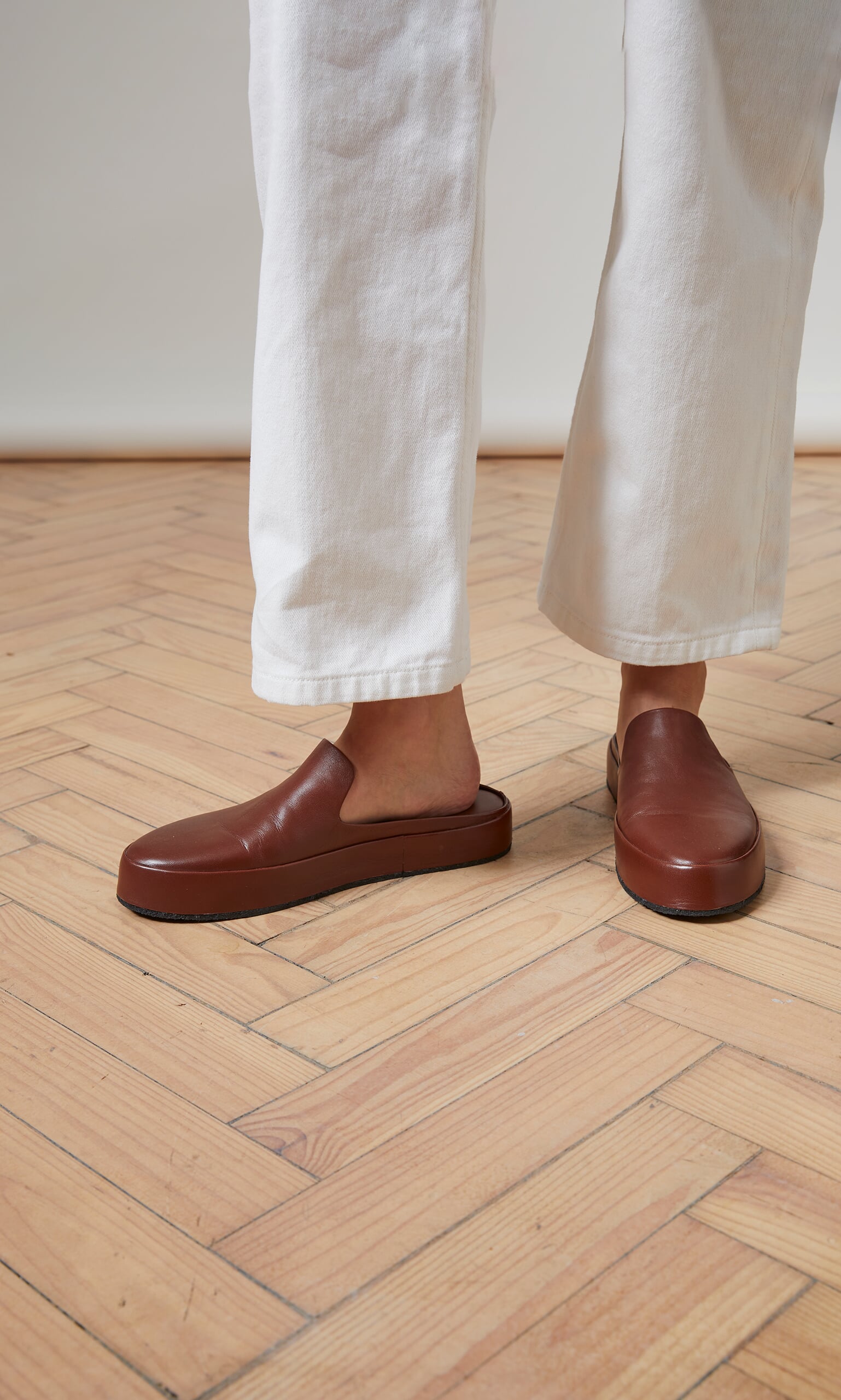 Tamworth mules
