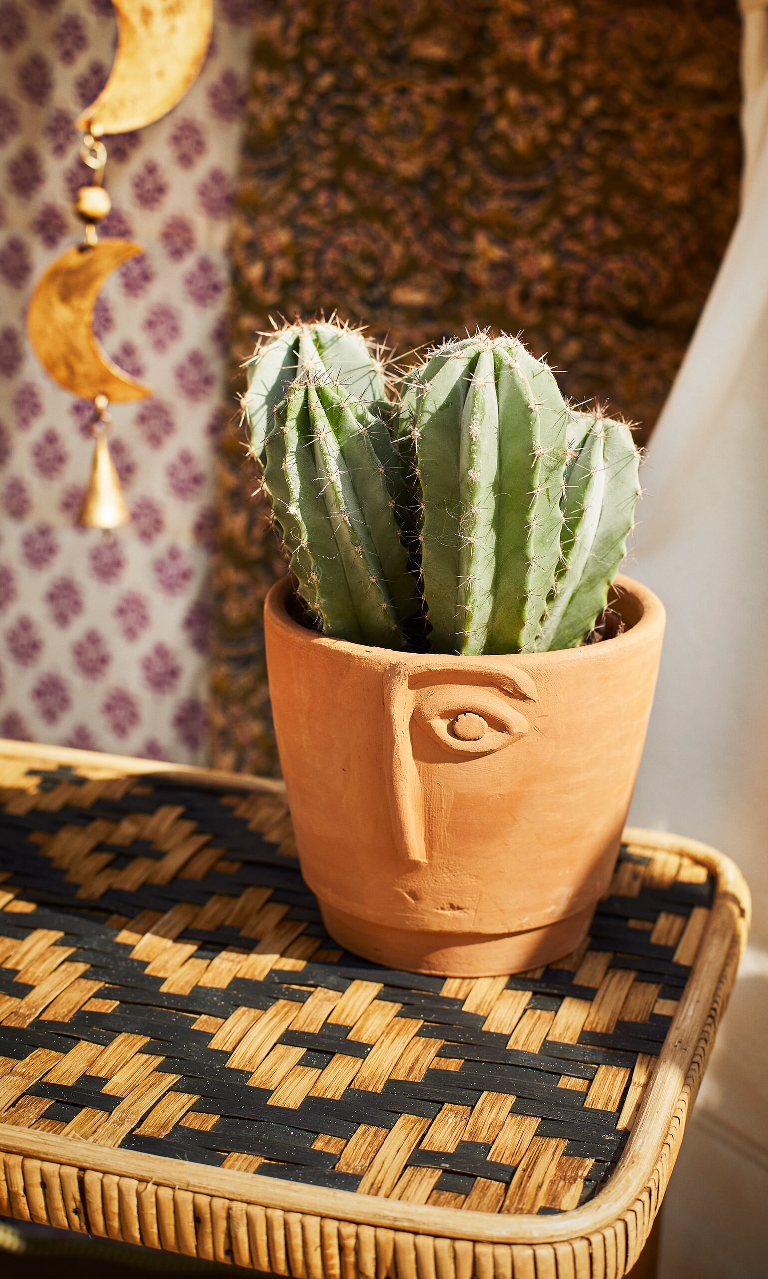 Terracotta flower pot 