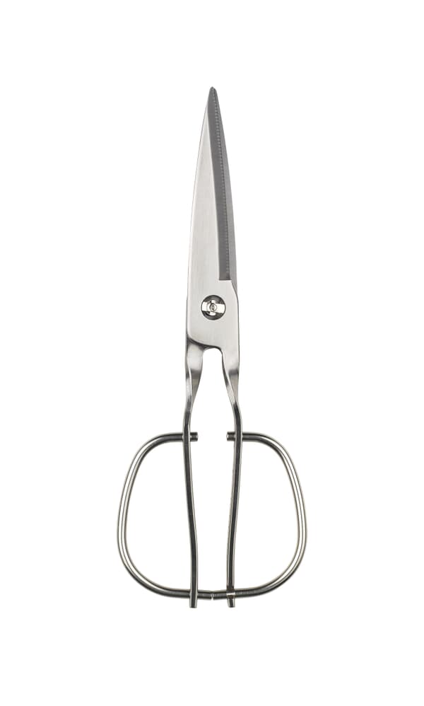 Japanese kitchen scissors