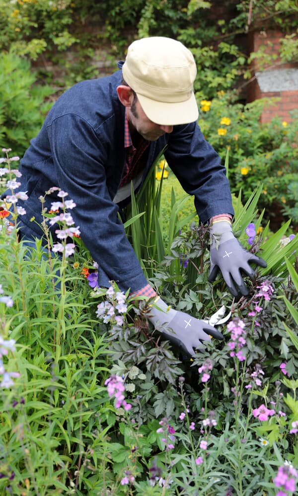 Niwaki gardening gloves