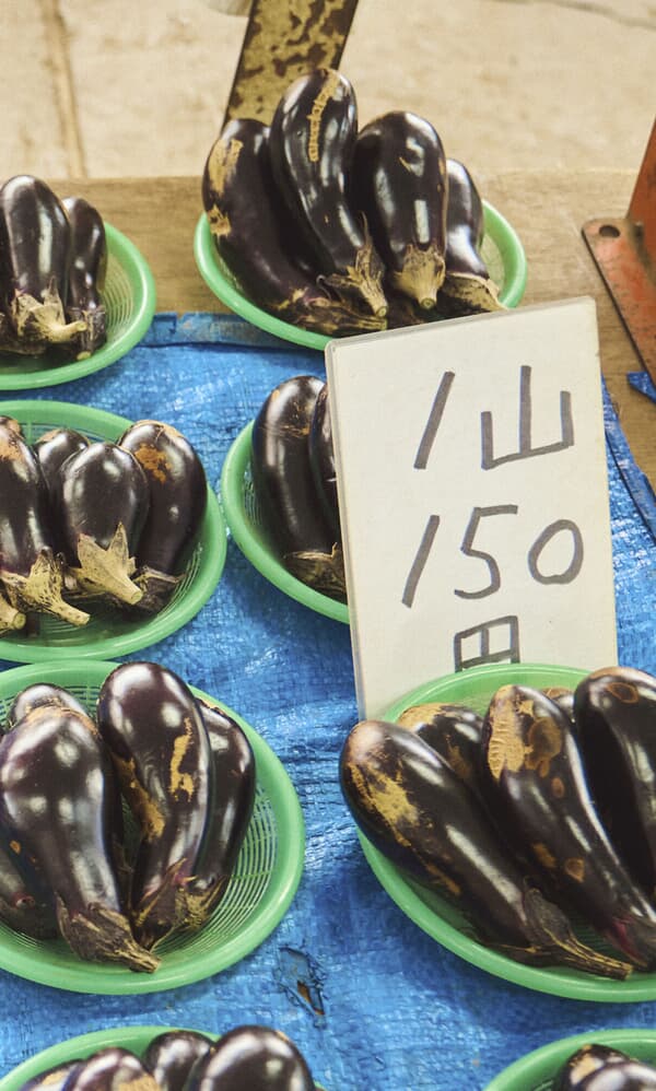 Nasu Aubergine Seeds