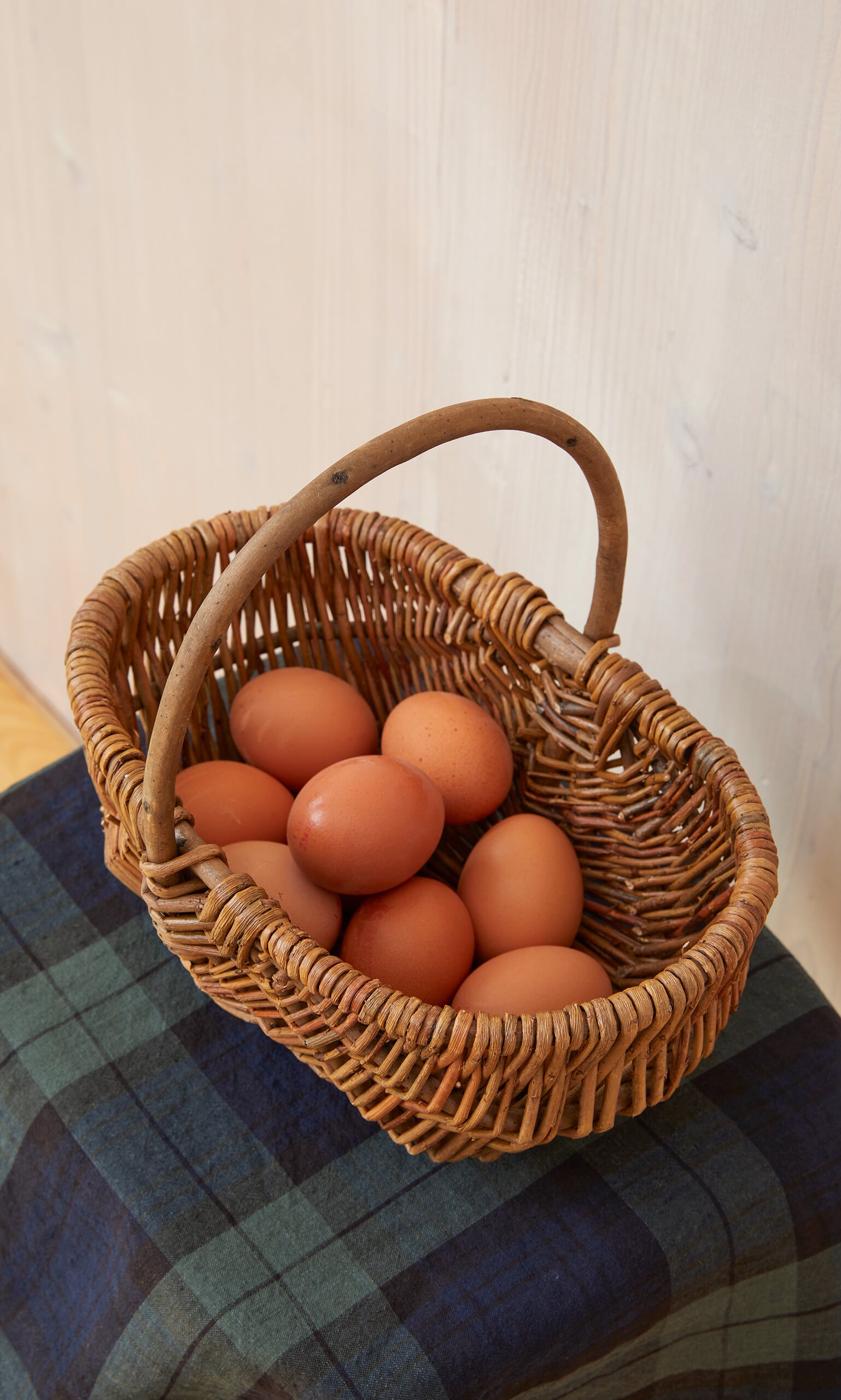 Mushroom basket