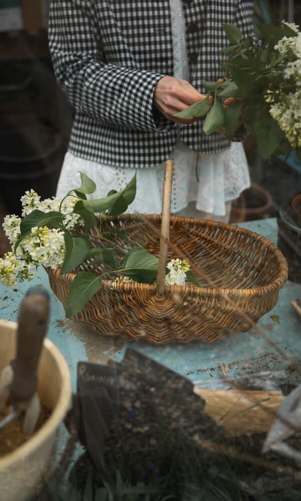 Large Willow Basket