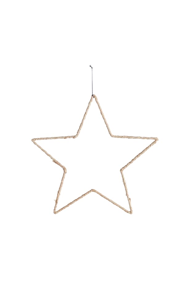 Raffia Christmas Star