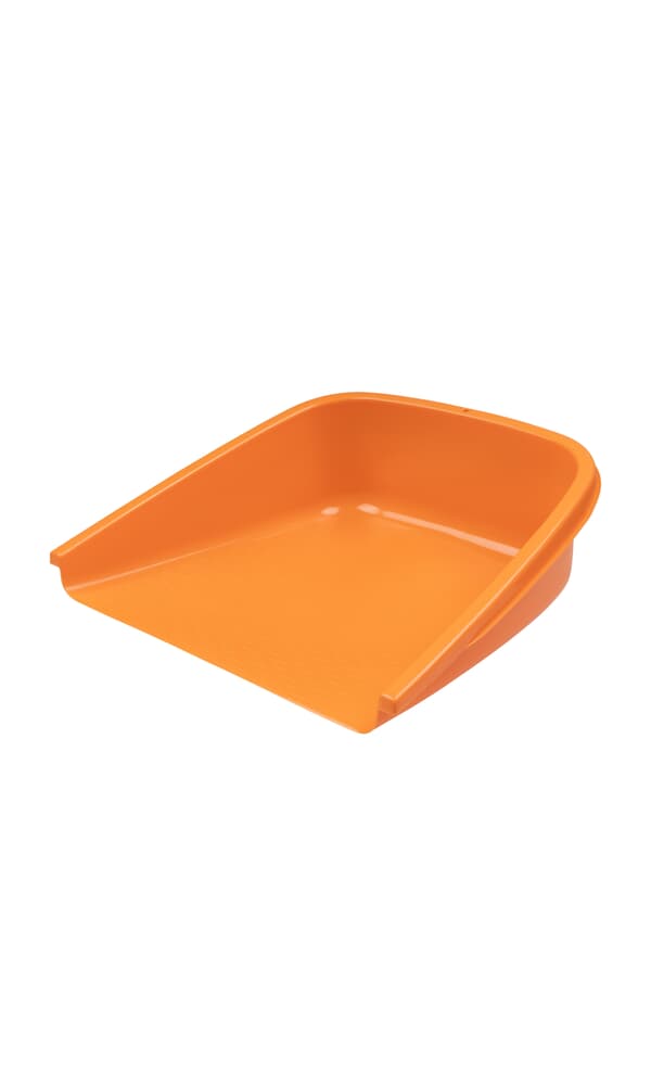 Orange enormous leaf pan