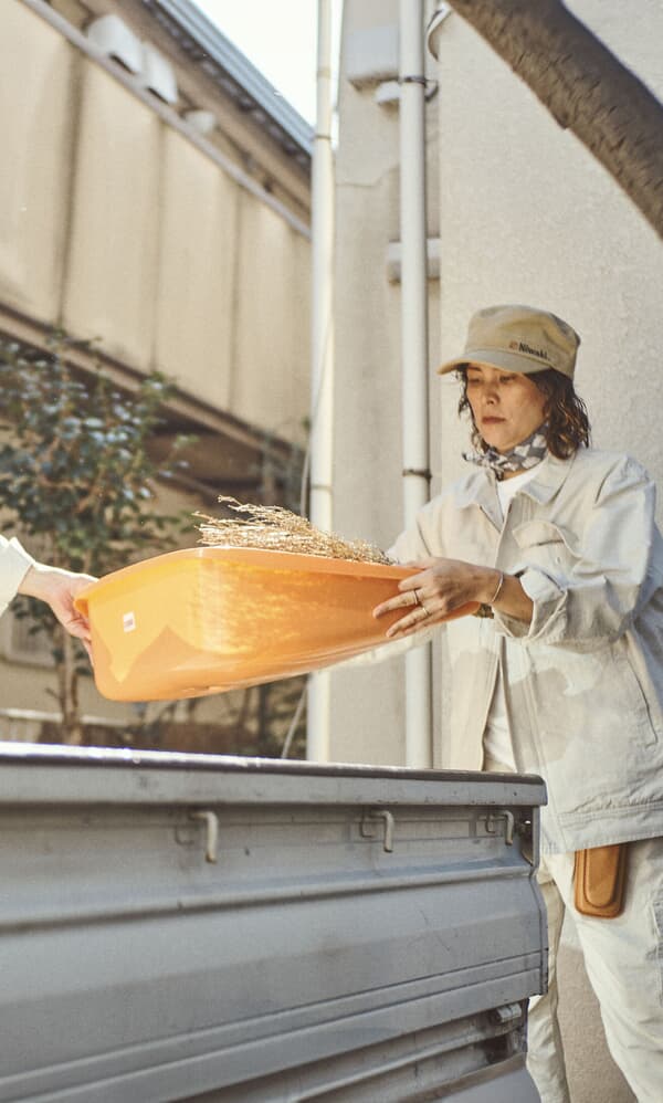 Orange enormous leaf pan