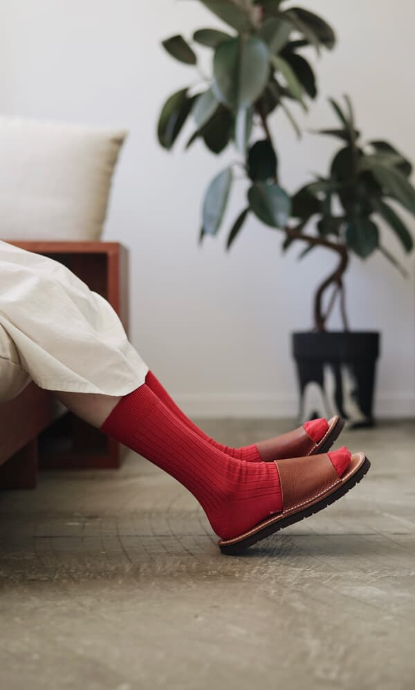 Red Silk Socks