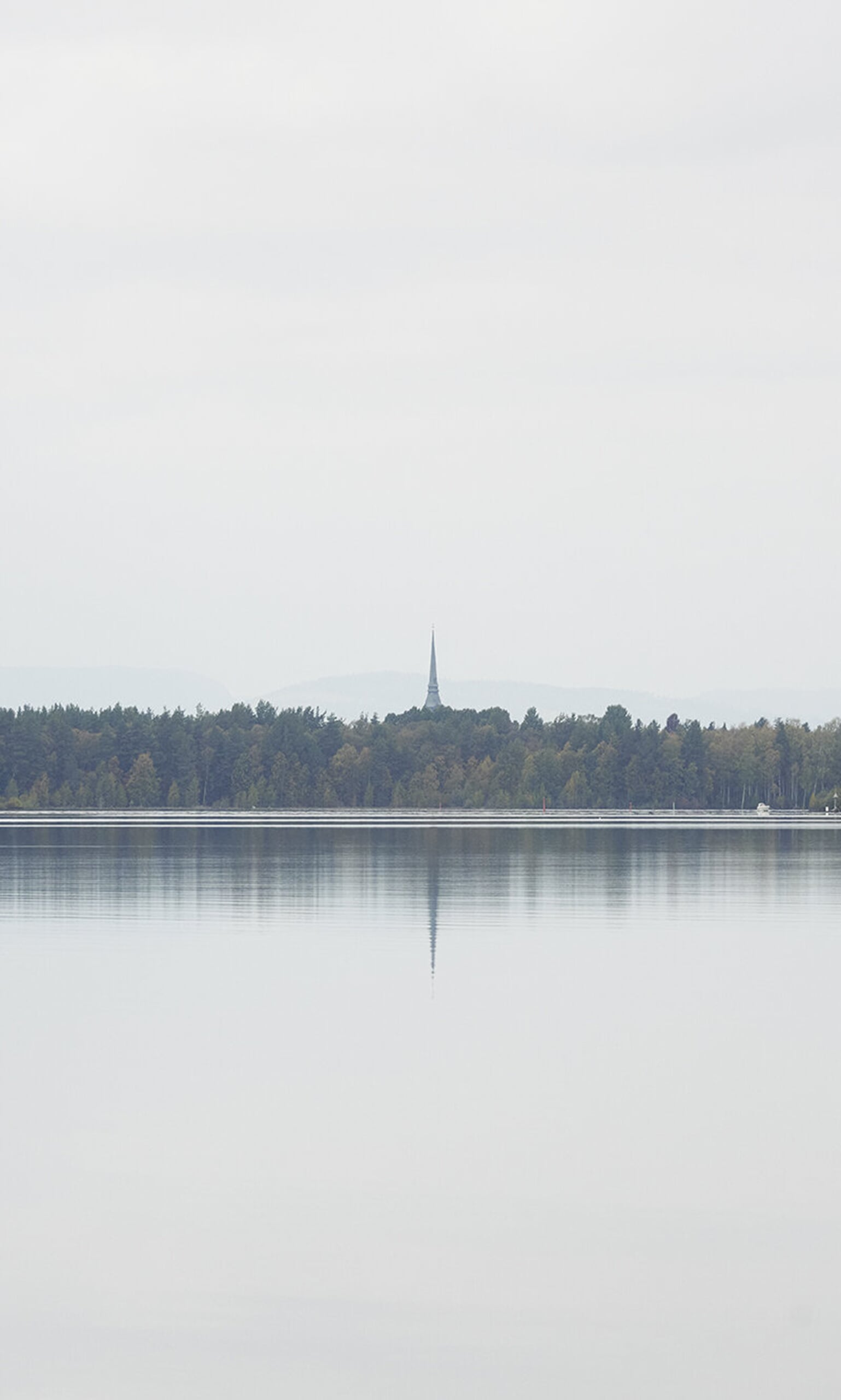 SWEDISH SUMMER 4