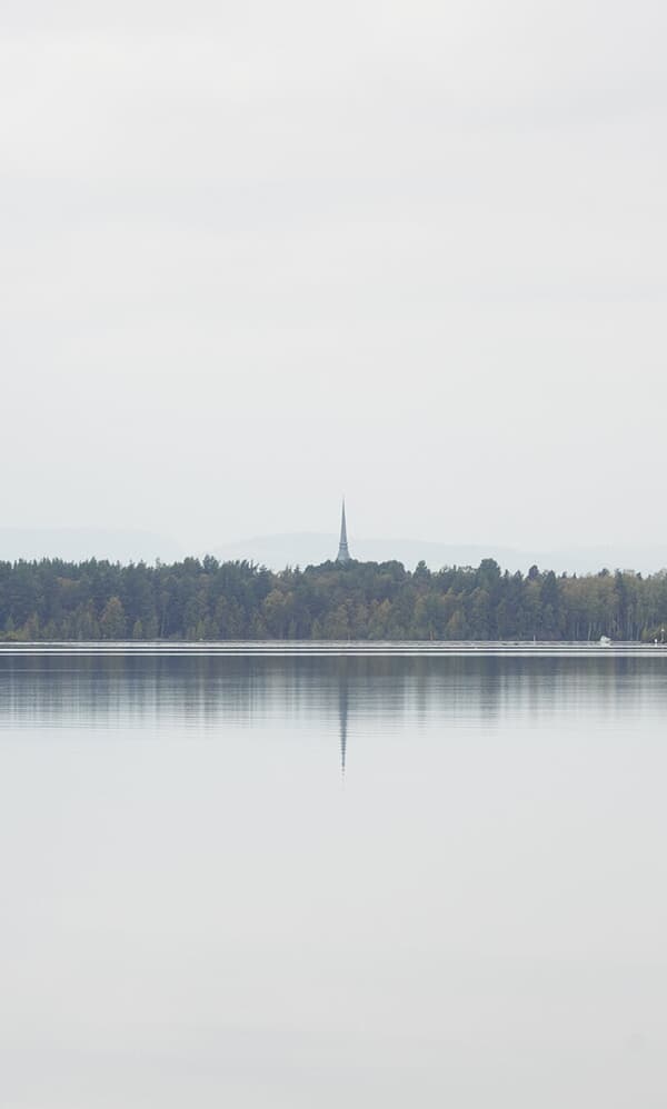 SWEDISH SUMMER 4