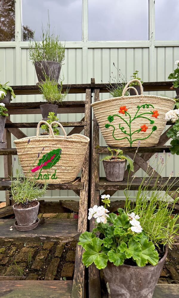 Tropaeolum Basket 