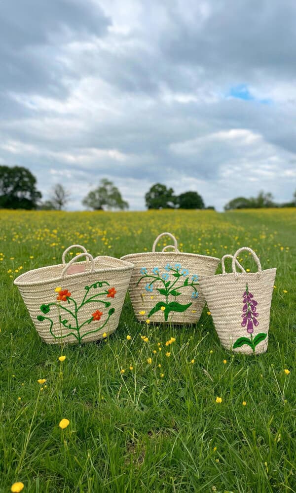 Tropaeolum Basket 