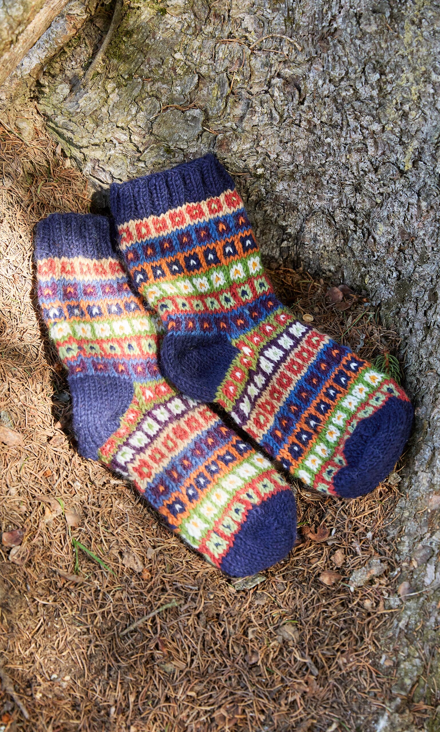 Colorado Socks