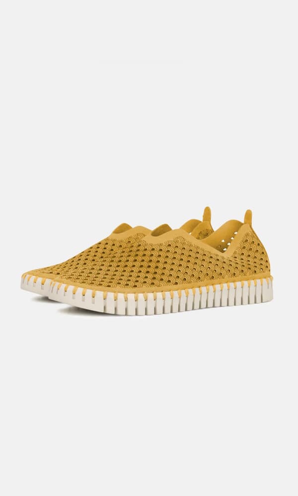 Tulip Shoes - Golden