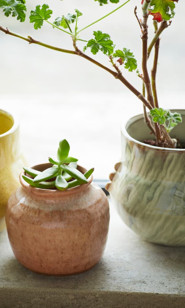 Stoneware Flower Pot 