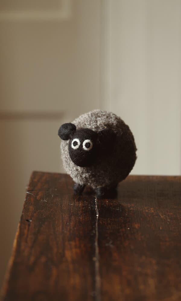 Diane the Sheep
