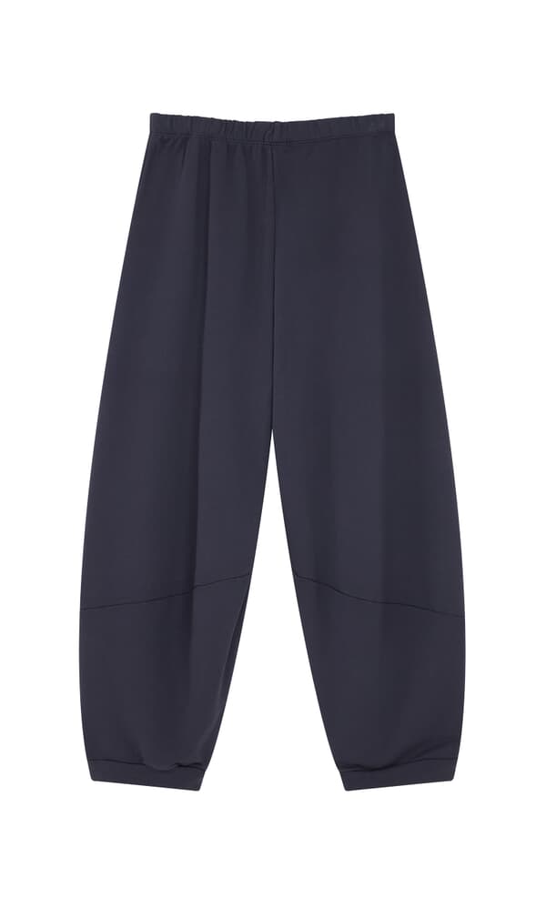 Blue Barrel Pants