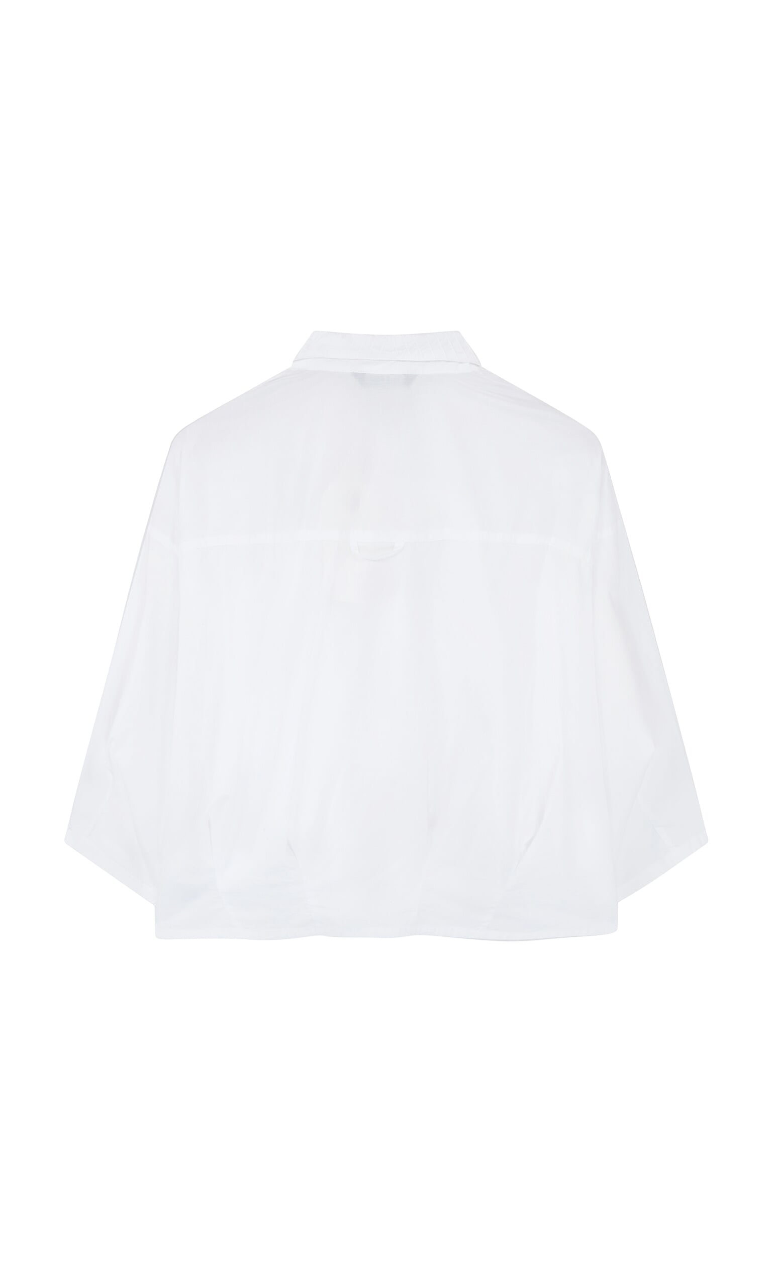 Fuji shirt