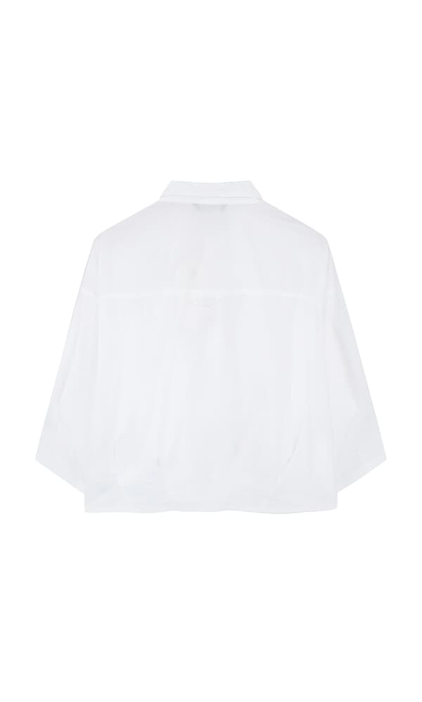 Fuji shirt