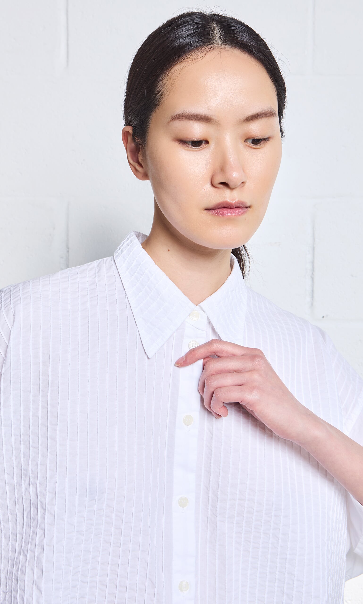 Fuji shirt