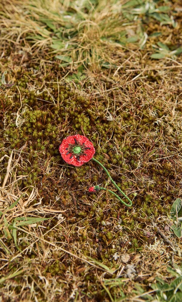 Poppy Brooch