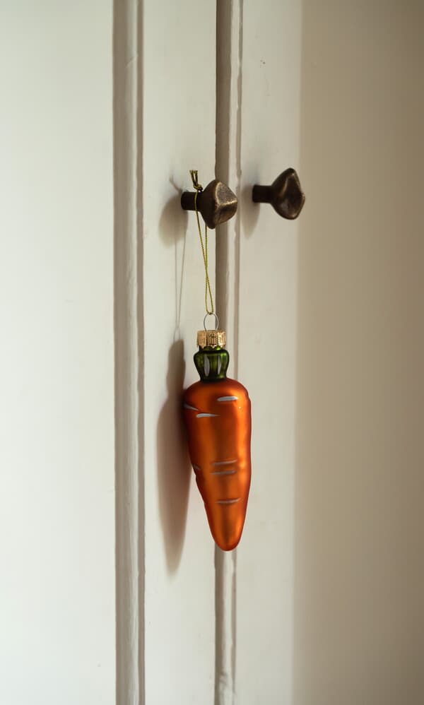 Winter Carrot Decoration
