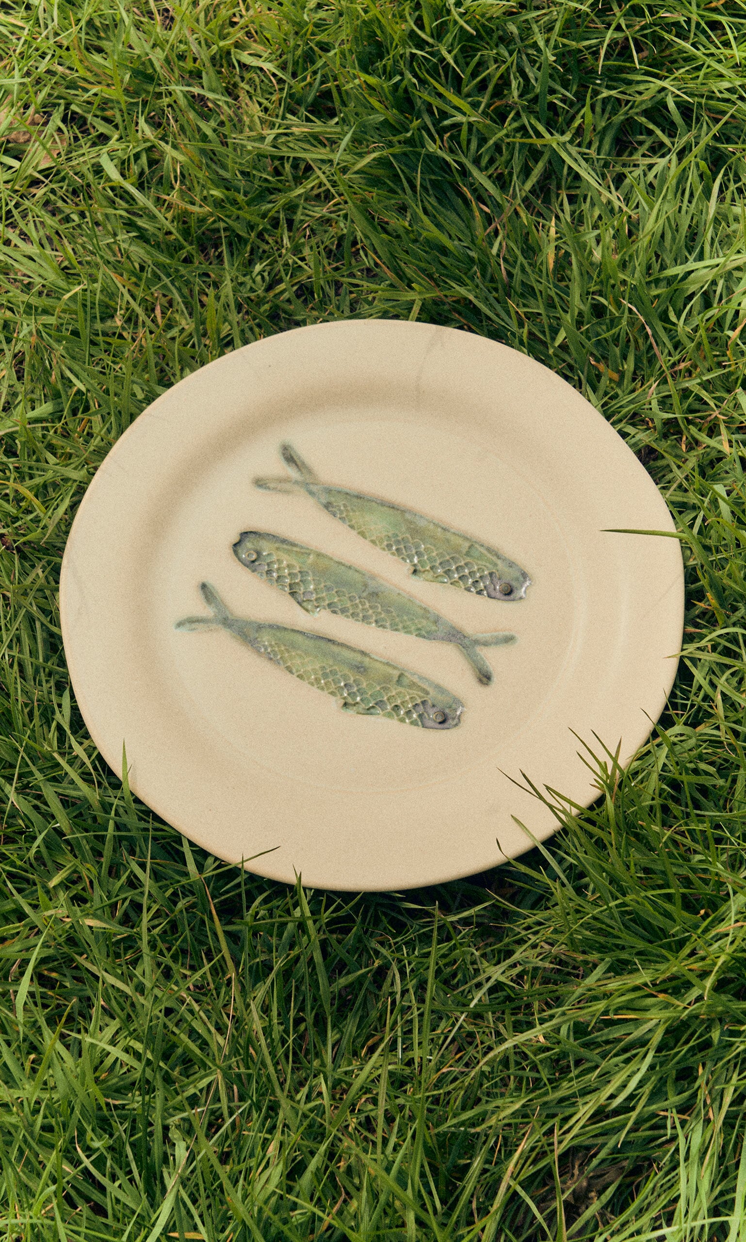 Sardine Plate