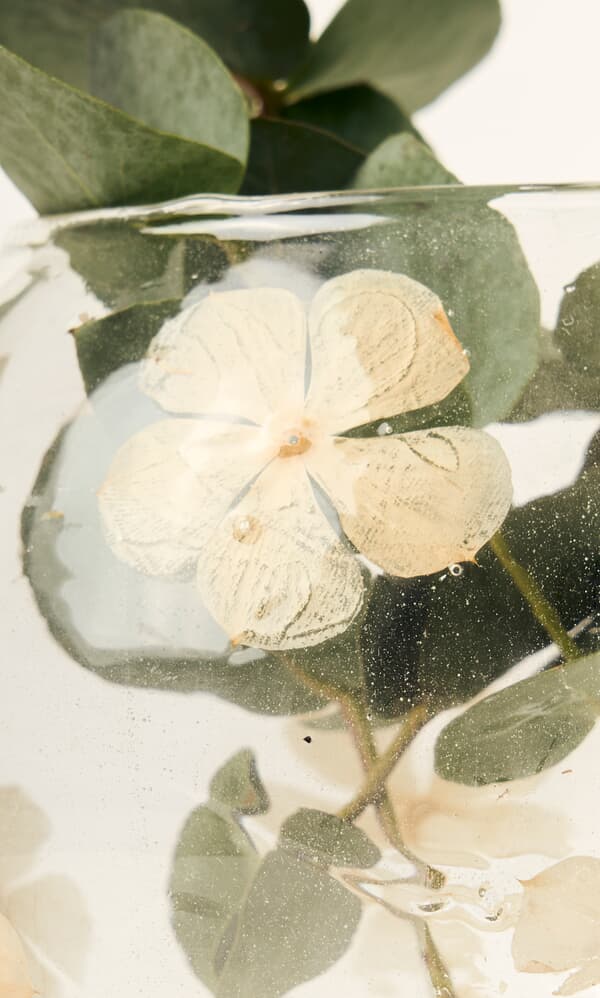Pressed Flower Vase