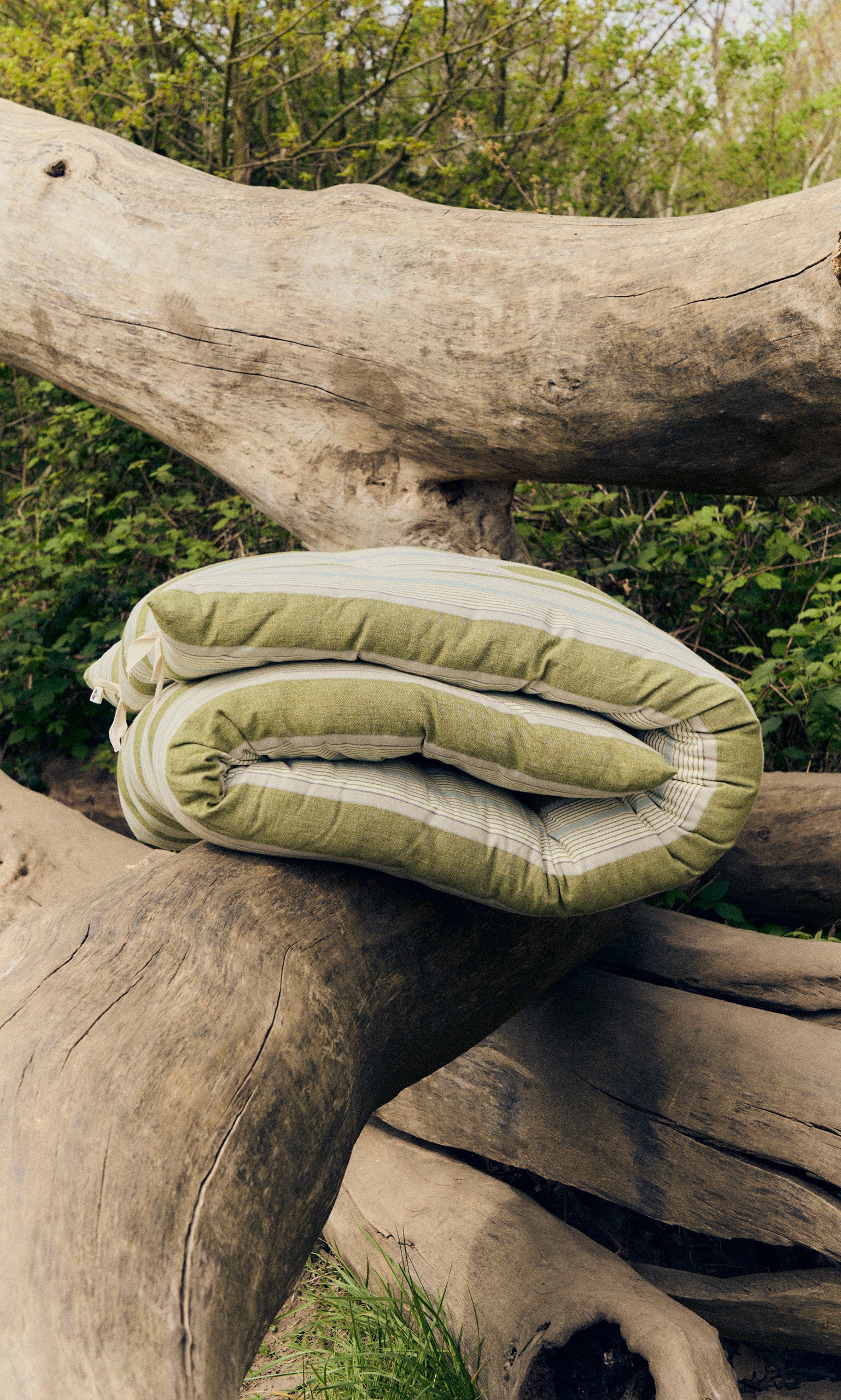 Quilted Mattress - Green Stripe